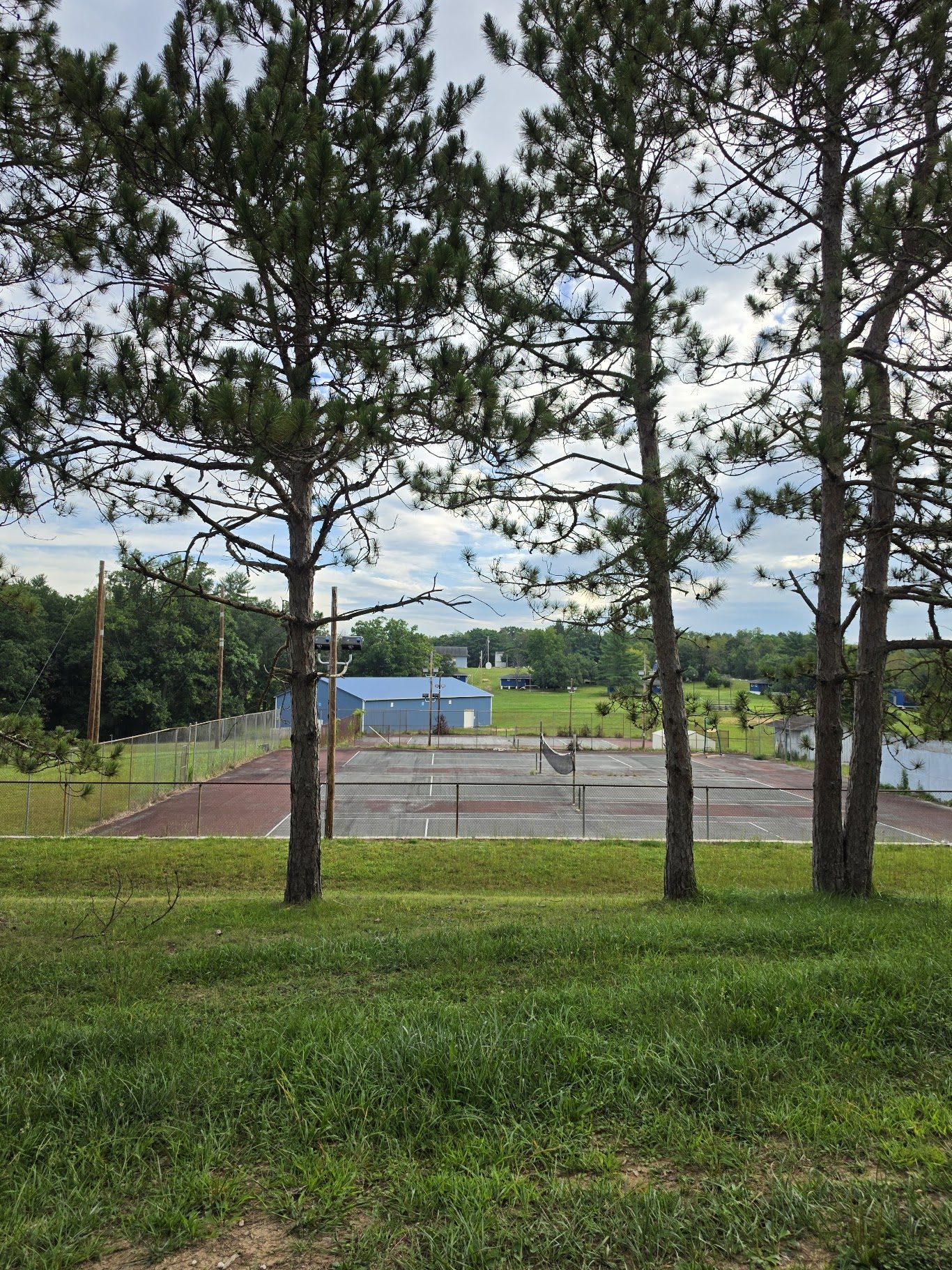 Pine trees and the open field beside the courts